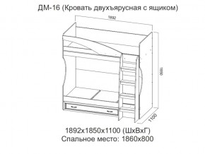 ДМ-16 Кровать двухъярусная с ящиком в Озёрске - ozyorsk.магазин96.com | фото