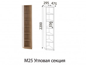 М25 Угловая секция в Озёрске - ozyorsk.магазин96.com | фото