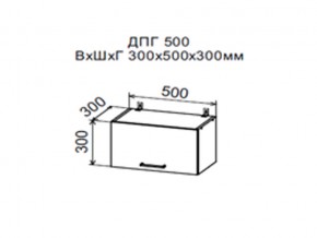 Шкаф верхний ДПГ500 горизонтальный в Озёрске - ozyorsk.магазин96.com | фото