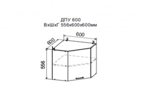 Шкаф верхний ДПУ600 угловой в Озёрске - ozyorsk.магазин96.com | фото